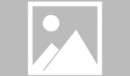 备长炭漫画,备长炭漫画中的生活哲学与心灵疗愈